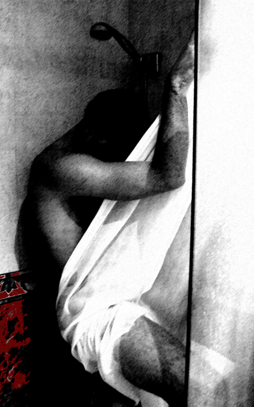 The bathroom curtain (Sold)